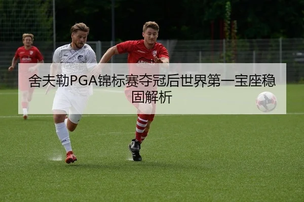 舍夫勒PGA锦标赛夺冠后世界第一宝座稳固解析