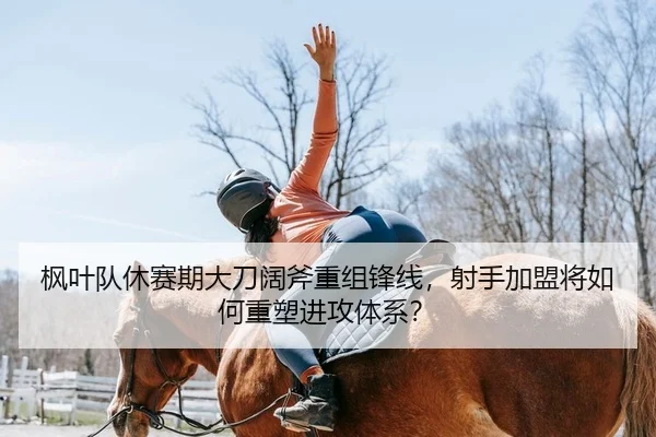 枫叶队休赛期大刀阔斧重组锋线，射手加盟将如何重塑进攻体系？
